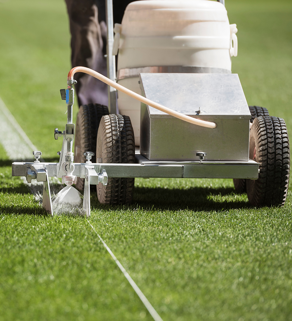 Tree Surgeon | School Grounds Maintenance | Tree Surgery | Manor Oaks