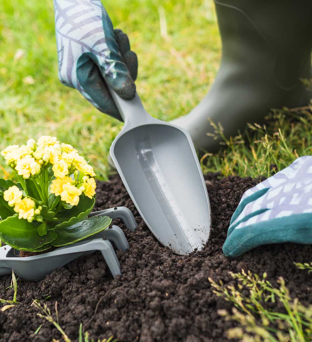 Tree Surgeon | School Grounds Maintenance | Tree Surgery | Manor Oaks