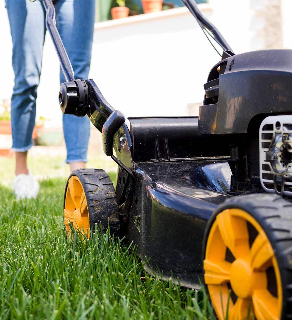 Tree Surgeon | School Grounds Maintenance | Tree Surgery | Manor Oaks