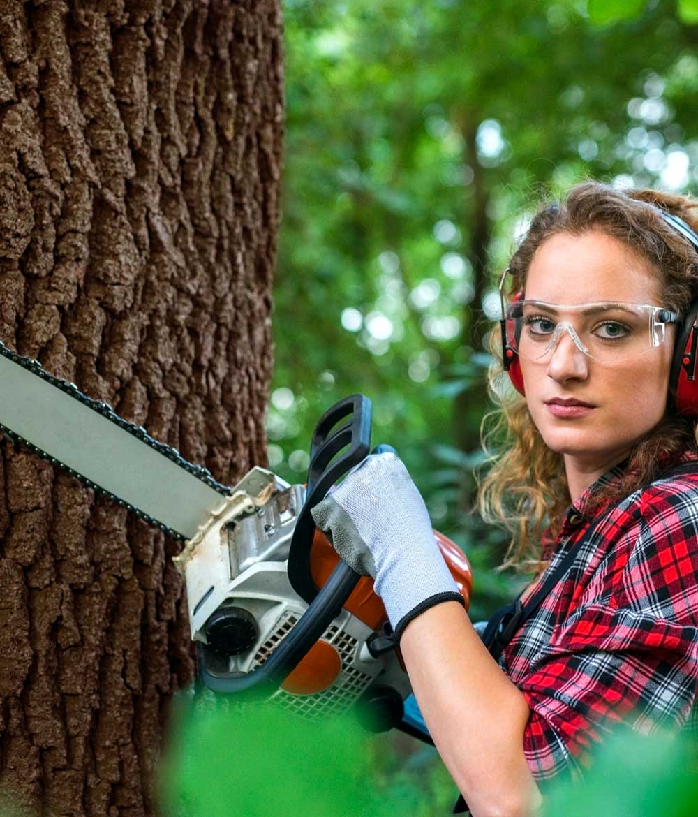 Tree Surgeon | School Grounds Maintenance | Tree Surgery | Manor Oaks