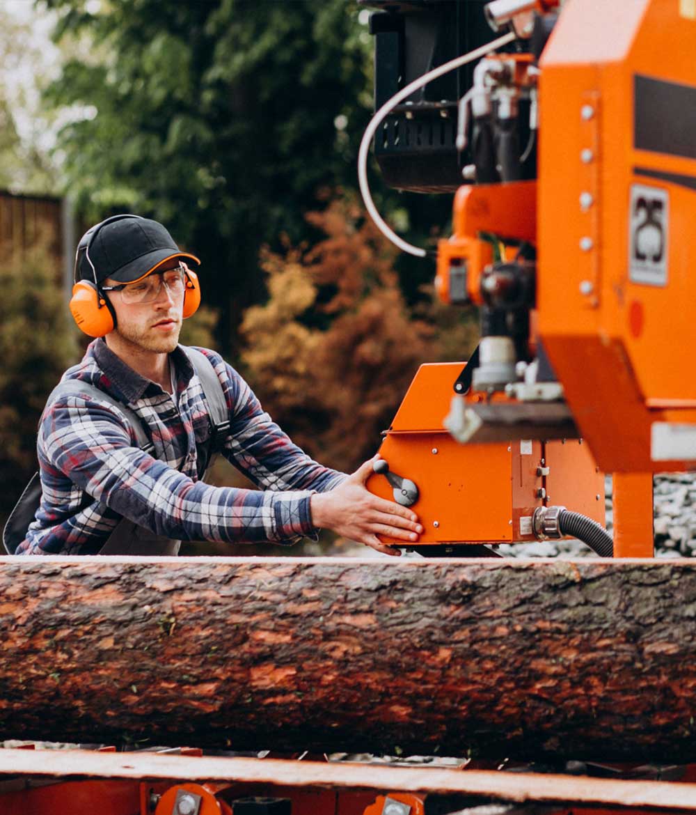 Tree Surgeon | School Grounds Maintenance | Tree Surgery | Manor Oaks