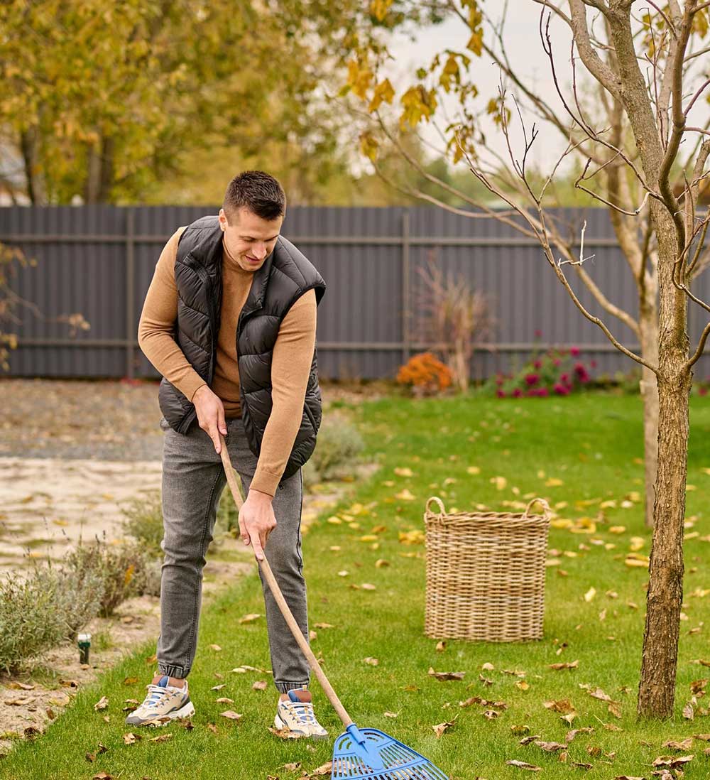 Tree Surgeon | School Grounds Maintenance | Tree Surgery | Manor Oaks