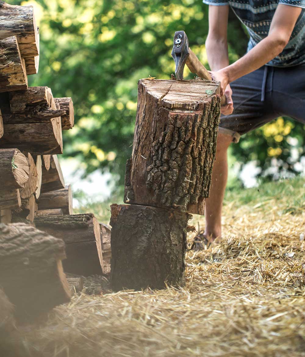 Tree Surgeon | School Grounds Maintenance | Tree Surgery | Manor Oaks