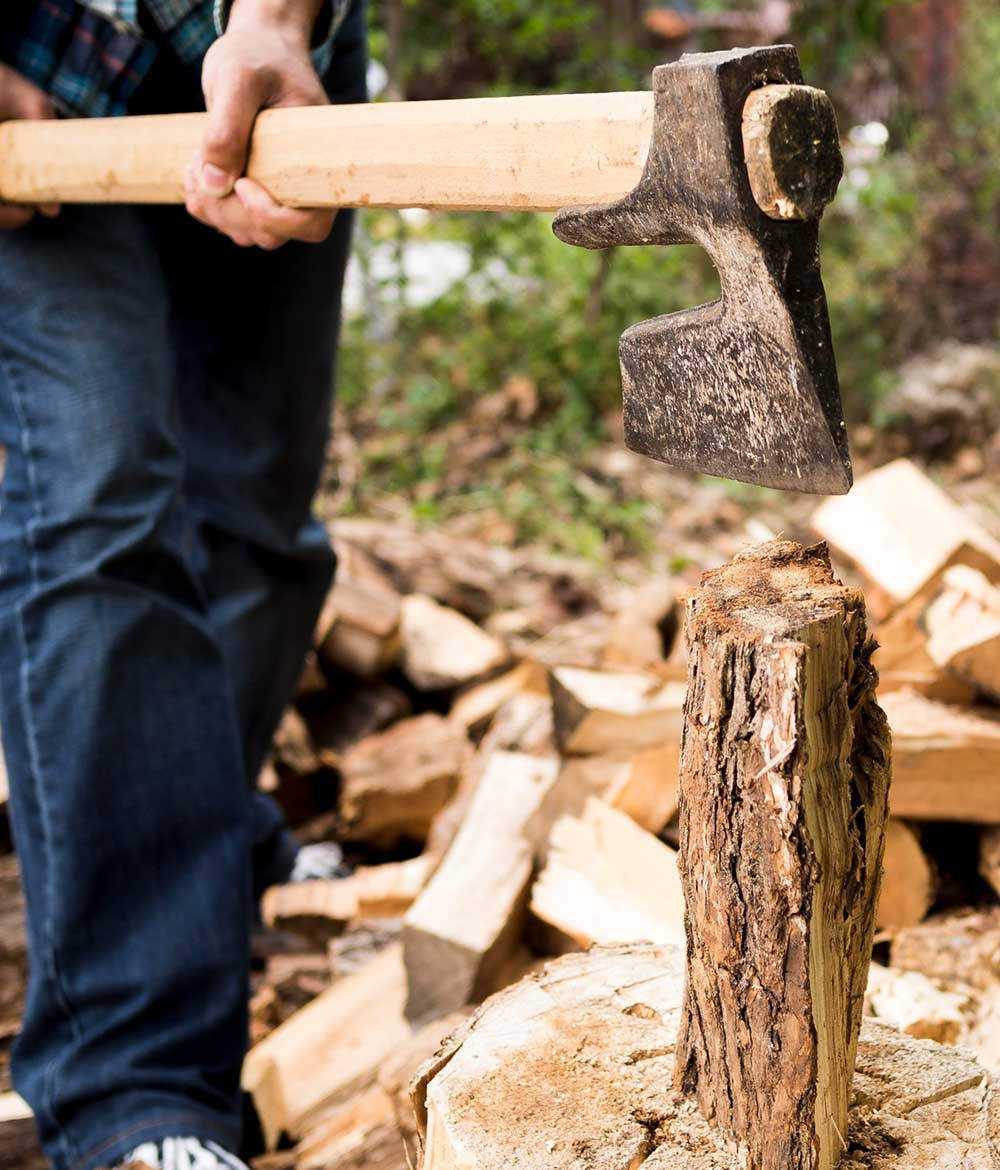 Tree Surgeon | School Grounds Maintenance | Tree Surgery | Manor Oaks